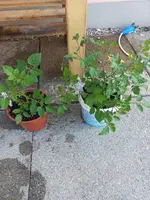 20220515_080802.webp