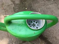 Vogelschutz.jpg