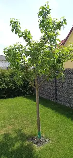 IMG_20220515_132336_700.webp