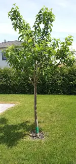 IMG_20220515_132344_252.webp