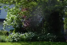 P1070964 - Kopie.webp