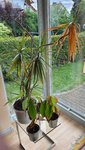 20220513_133128.jpg