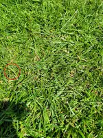 20220515_114655ed.webp