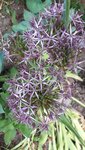 20220516_075854.jpg