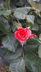 20220516_075739.jpg