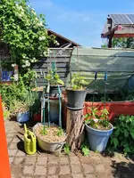 20220516_110038.webp