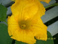 DSCI1026.webp