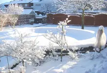 Winter.webp