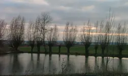 DSCF0347.webp