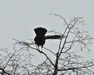 DSC01867.webp