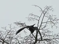 DSC01874.webp