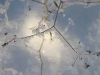Sieht es nicht aus, wie durch Glas fotografiert.webp
