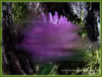 ratebild1.webp