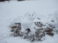 schneekatze.webp
