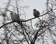 DSC01781.webp