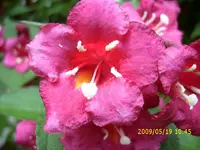 DSCI1784.webp