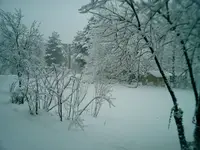CIMG0003.webp