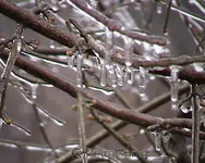 winter1.webp