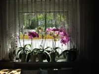 IMG_0346.webp