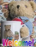 TeddyWelcome.webp