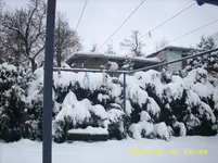 JD500402.webp
