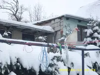 JD500404.webp