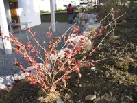 IMG_3166.webp