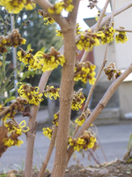 IMG_3171.webp