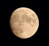 mond-5266a-400.webp