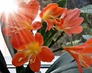 DSC02030.webp