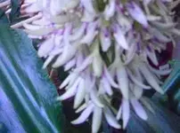 18.07.09 036 Rätsel 21.webp
