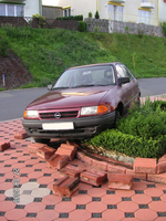 Opel im Garten 2.webp