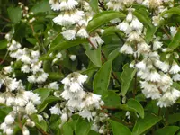 BILD0150.webp