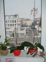 DSCF3958.webp
