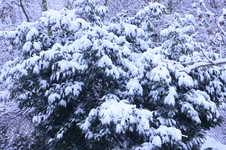 IMG_5114.webp