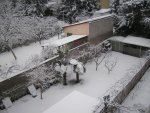 Winter 01.2010 1.jpg