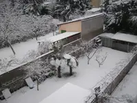 Winter 01.2010 1.webp