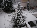 Winter 01.2010 2.jpg