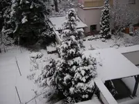 Winter 01.2010 2.webp
