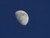DSC02147.webp