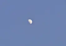 DSC02145.webp