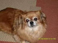 SDC10415.webp