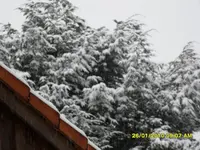 SDC10732.webp
