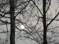 IMG_0106.webp
