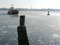 SN855569.webp