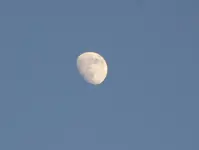 DSC_3796.webp