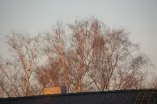 DSC_3794.webp