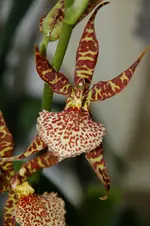DSC_3162.webp