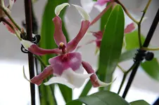 DSC_3164.webp