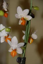 DSC_3426.webp